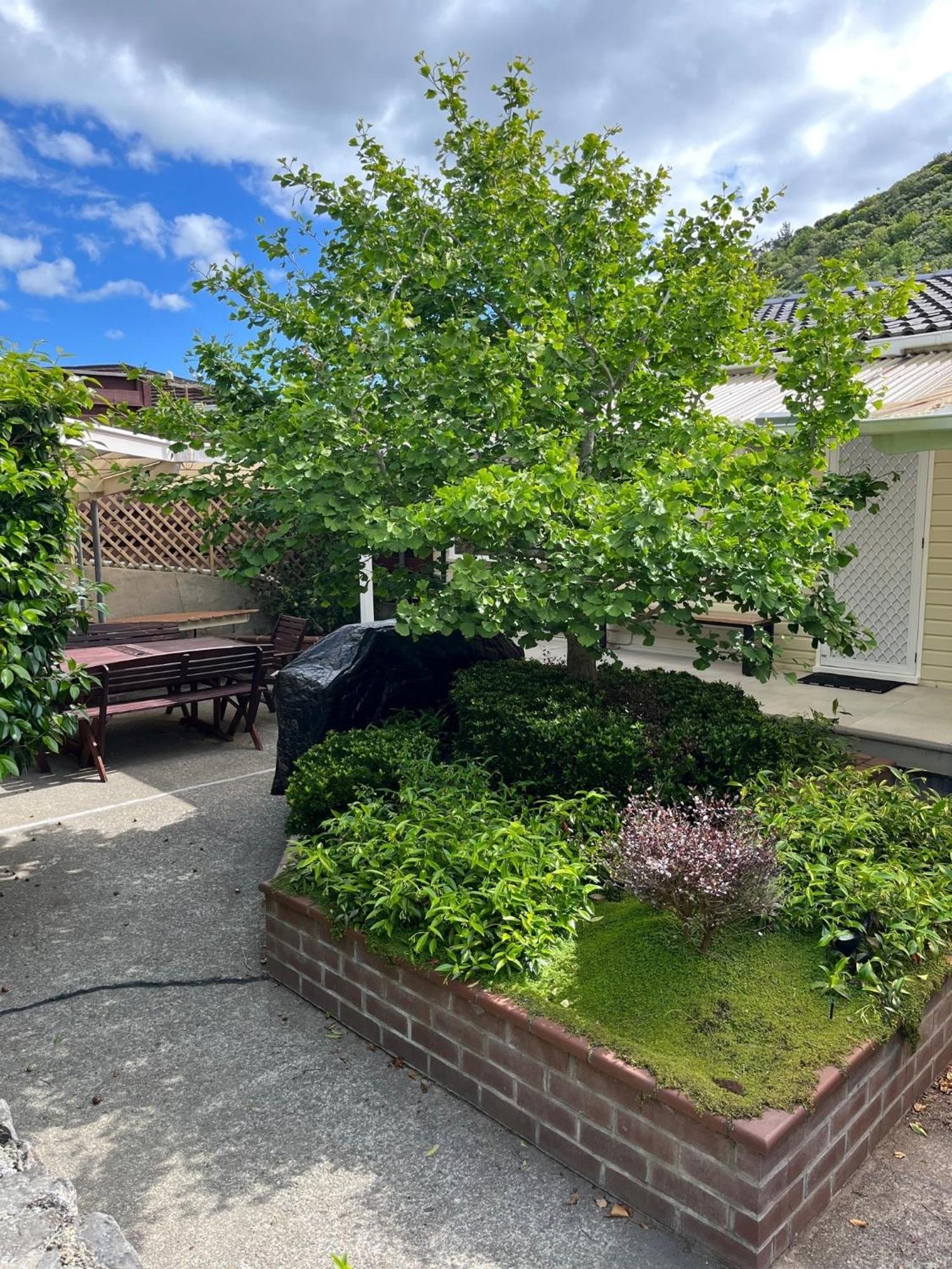 Retro 4 Bedroom Home, Warm And Welcoming, Quiet Location Porirua Buitenkant foto